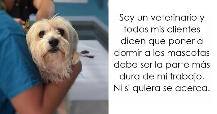 Este veterinario comparte las cosas más emocionalmente agotadoras en su trabajo, peor que sacrificar a los animales