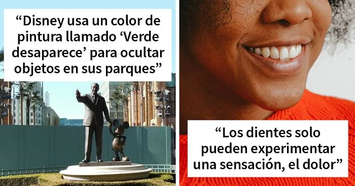 'Hoy aprendí': 35 cosas interesantes que la gente no aprendió en la escuela (nuevas fotos)