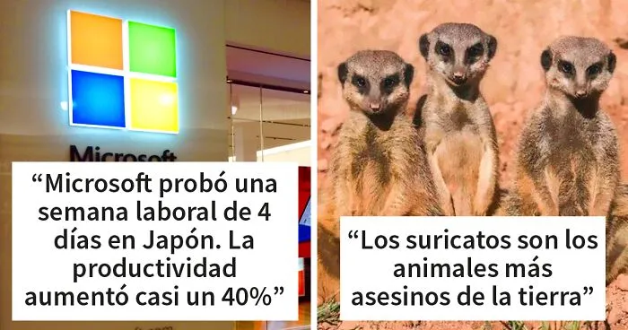 'Hoy aprendí': 30 cosas interesantes que la gente no aprendió en la escuela (nuevas fotos)