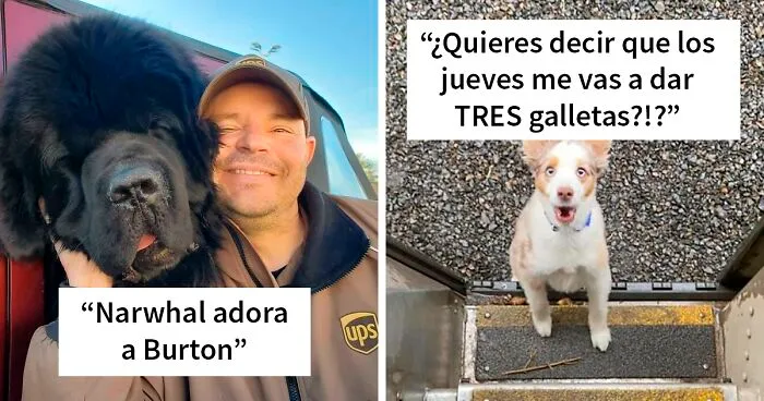 35 Conductores de UPS que se encontraron perros en sus rutas y compartieron las fotos en este grupo (Nuevas imágenes)