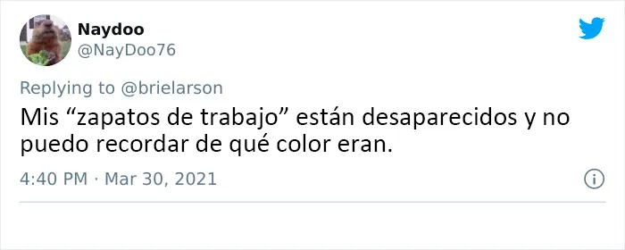 30 Usuarios de Twitter comparten imágenes que dicen "Llevo demasiado tiempo en cuarentena"