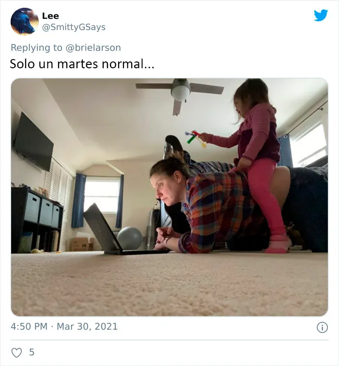 30 Usuarios de Twitter comparten imágenes que dicen "Llevo demasiado tiempo en cuarentena"