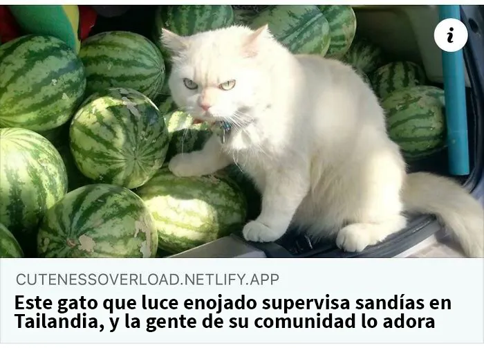 Policía de sandías