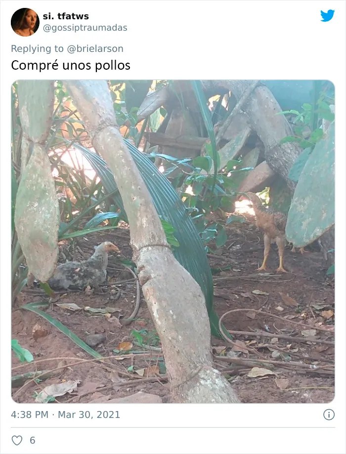 30 Usuarios de Twitter comparten imágenes que dicen "Llevo demasiado tiempo en cuarentena"
