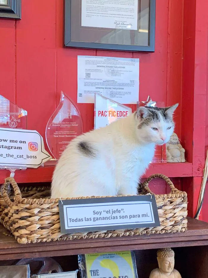 Empleado de librería en Kaui’i