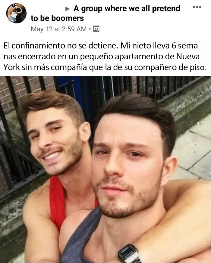 Qué compañero más majo