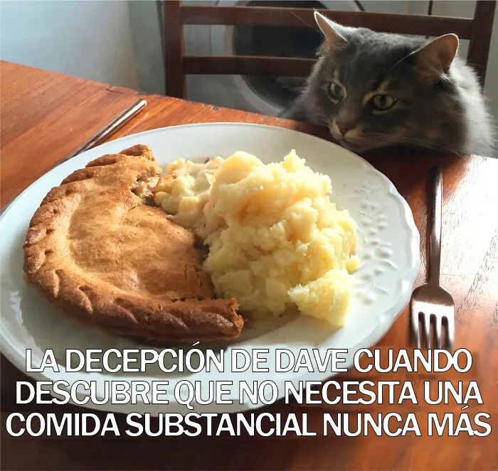 15 Divertidos memes de mascotas sobre la cuarentena, por Comedy Pet Photo Awards