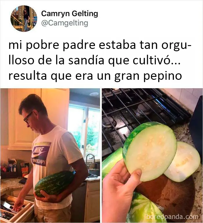 Este pepino confundido con una sandía