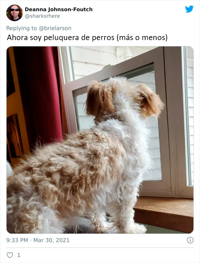 30 Usuarios de Twitter comparten imágenes que dicen "Llevo demasiado tiempo en cuarentena"