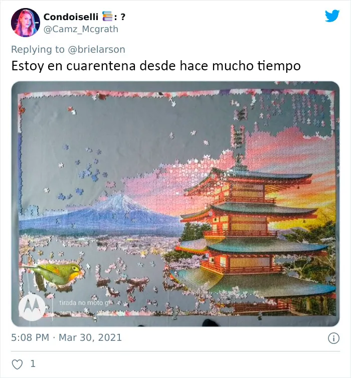 30 Usuarios de Twitter comparten imágenes que dicen "Llevo demasiado tiempo en cuarentena"