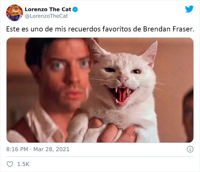 Internet ha vuelto viral a Brendan Fraser simplemente por ser genial, aquí tienes 30 de los mejores tuits