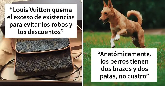 "Hoy aprendí": 30 nuevos datos que demuestran que nunca es demasiado tarde para aprender algo nuevo