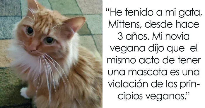 Esta chica vegana exigió a su novio que regale su gato, dándole un ultimátum
