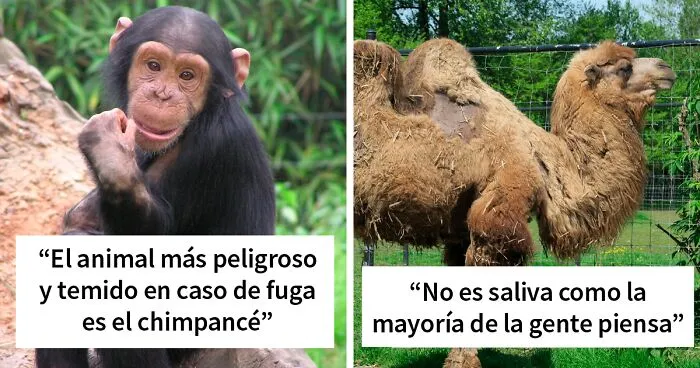 Los cuidadores de los zoos revelan de forma anónima los secretos más oscuros que guardan tras las rejas (20 fotos)