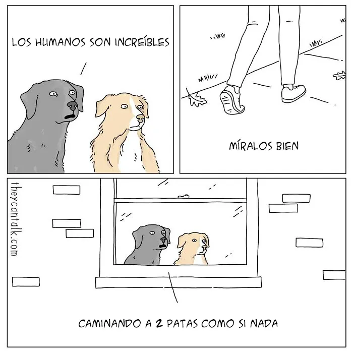 Este artista muestra lo que dirían los animales si pudieran hablar (15 Nuevos cómics)