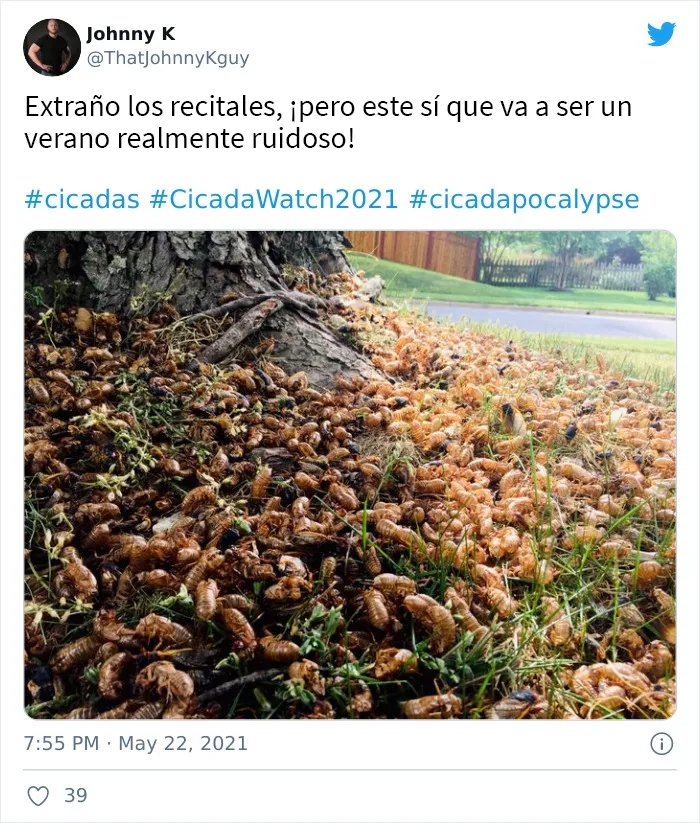 Después de 17 años bajo tierra, millones de cigarras eclosionaron para sembrar el caos en varias zonas de EEUU (18 fotos)