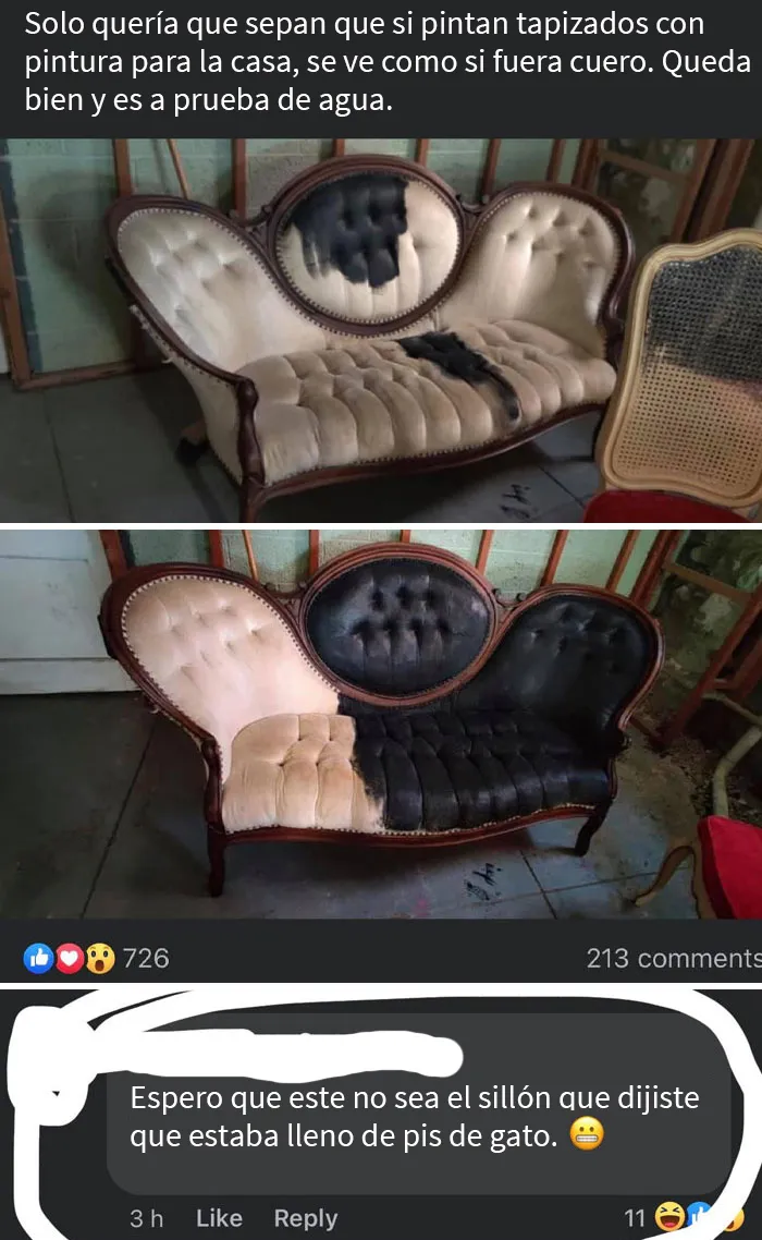 Pintó su sofá con pintura para la casa
