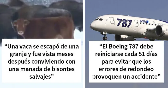 «Hoy aprendí»: 25 datos que demuestran que nunca es demasiado tarde para aprender (nuevas fotos)