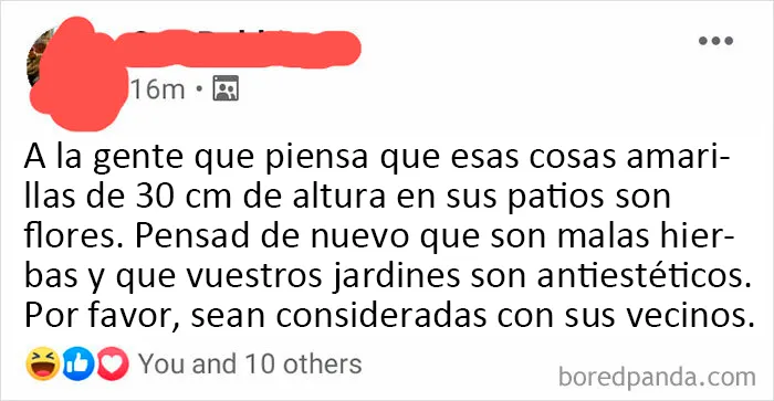 ¿Cómo te atreves a tener Dientes de León?