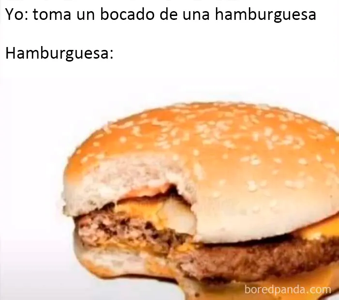 20 "Memes literales" que van directos al grano pero siguen siendo divertidísimos
