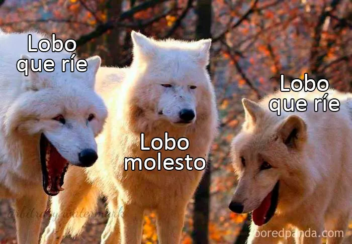 20 "Memes literales" que van directos al grano pero siguen siendo divertidísimos