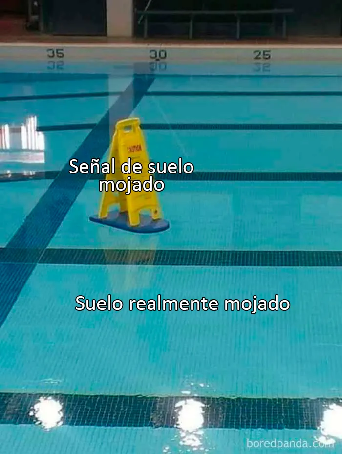 20 "Memes literales" que van directos al grano pero siguen siendo divertidísimos
