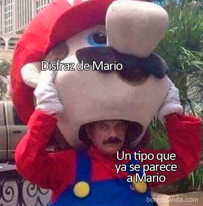20 "Memes literales" que van directos al grano pero siguen siendo divertidísimos