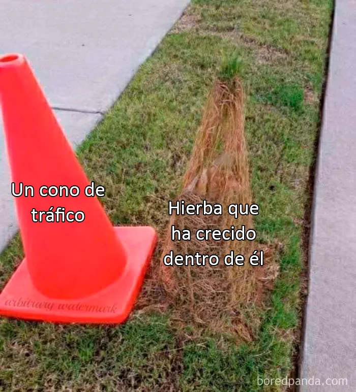 20 "Memes literales" que van directos al grano pero siguen siendo divertidísimos