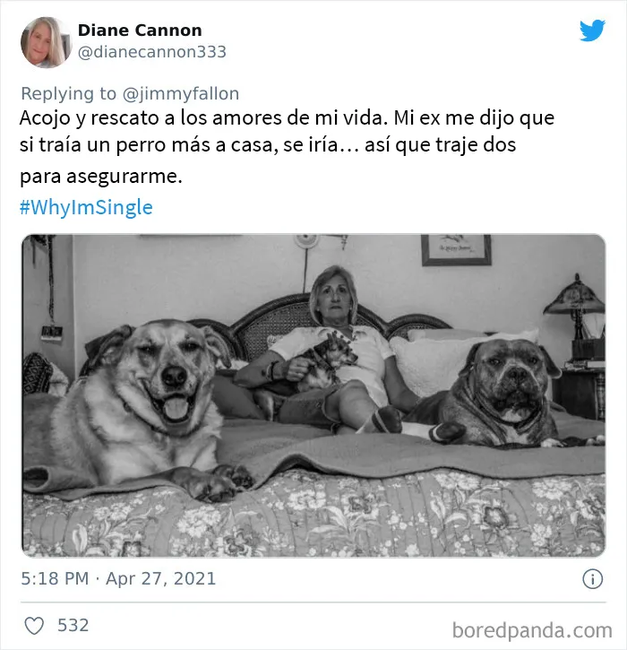 Jimmy Fallon preguntó a la gente por qué están solteros y estas son las 20 mejores respuestas
