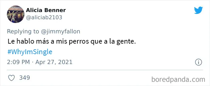 Jimmy Fallon preguntó a la gente por qué están solteros y estas son las 20 mejores respuestas