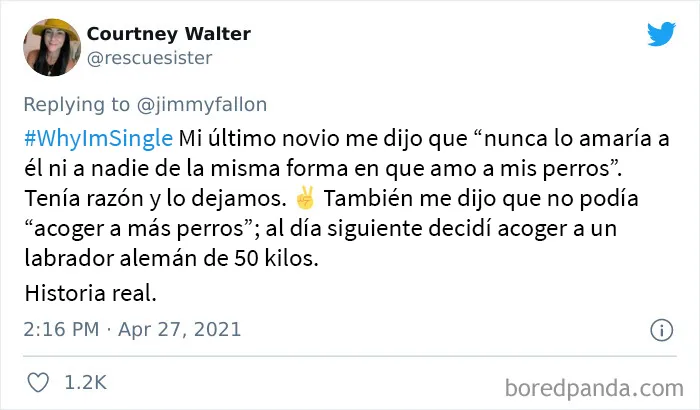 Jimmy Fallon preguntó a la gente por qué están solteros y estas son las 20 mejores respuestas