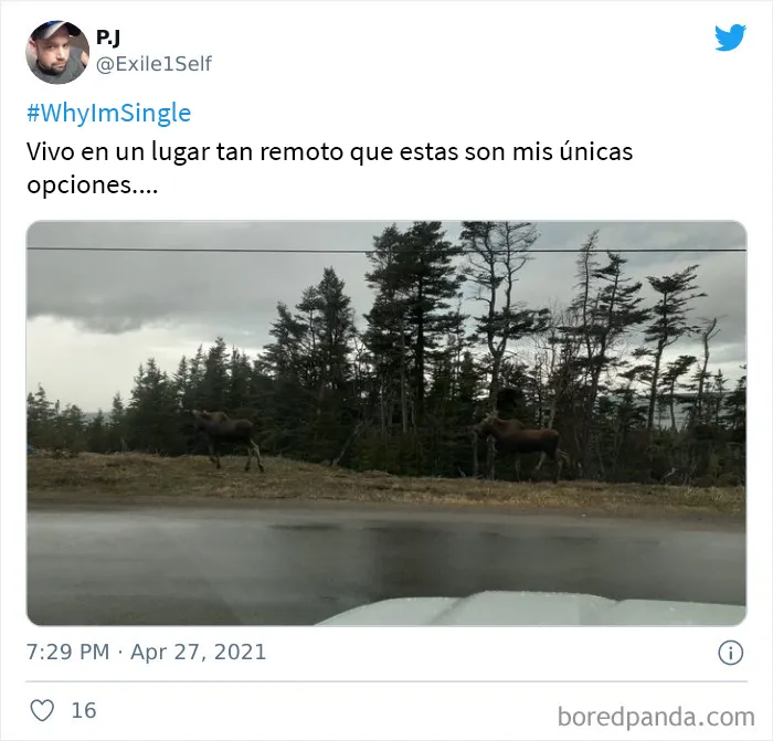 Jimmy Fallon preguntó a la gente por qué están solteros y estas son las 20 mejores respuestas