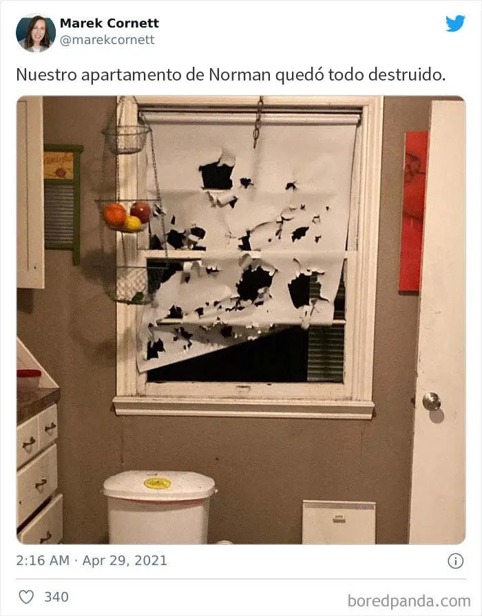 El granizo "gorila" golpeó Texas y Oklahoma anoche, y así es como se vio (30 fotos)