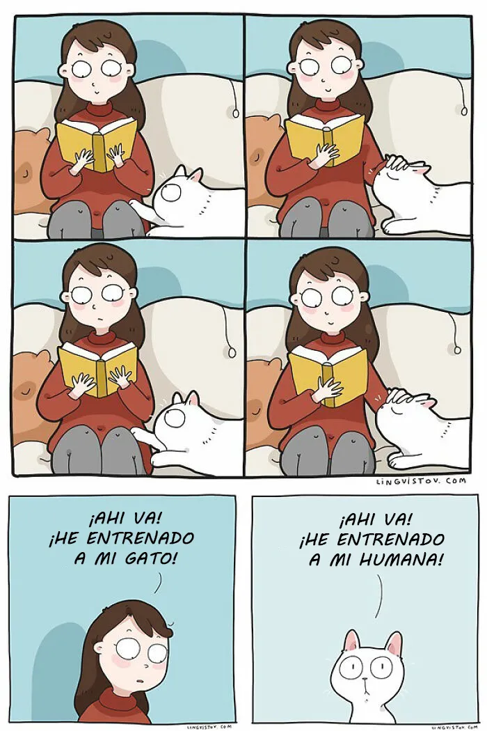 Esta artista ilustra los divertidos momentos de la vida de todo dueño de gatos (22 nuevas imágenes)