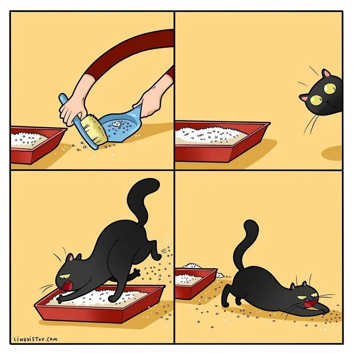 Esta artista ilustra los divertidos momentos de la vida de todo dueño de gatos (22 nuevas imágenes)