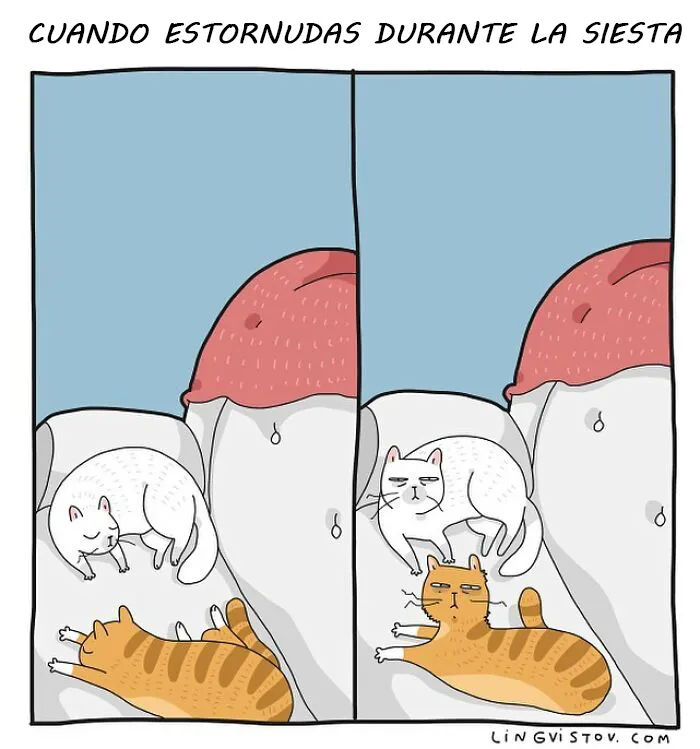 Esta artista ilustra los divertidos momentos de la vida de todo dueño de gatos (22 nuevas imágenes)