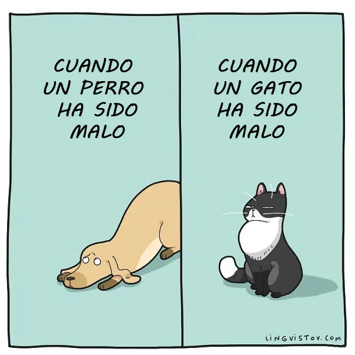Esta artista ilustra los divertidos momentos de la vida de todo dueño de gatos (22 nuevas imágenes)