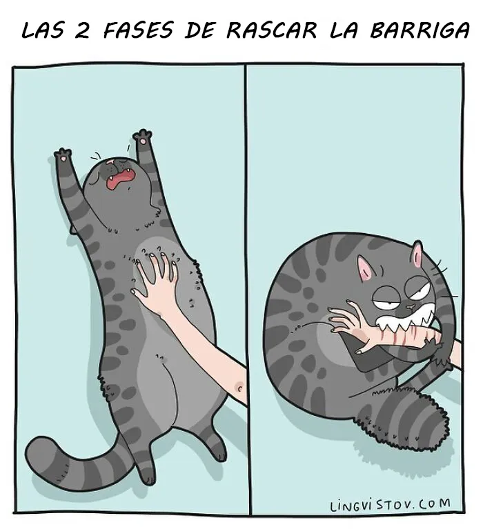 Esta artista ilustra los divertidos momentos de la vida de todo dueño de gatos (22 nuevas imágenes)