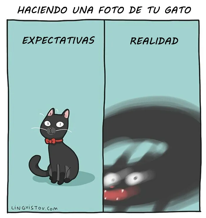Esta artista ilustra los divertidos momentos de la vida de todo dueño de gatos (22 nuevas imágenes)