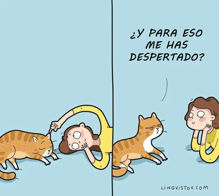Esta artista ilustra los divertidos momentos de la vida de todo dueño de gatos (22 nuevas imágenes)