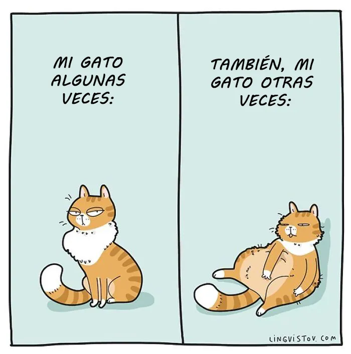 Esta artista ilustra los divertidos momentos de la vida de todo dueño de gatos (22 nuevas imágenes)