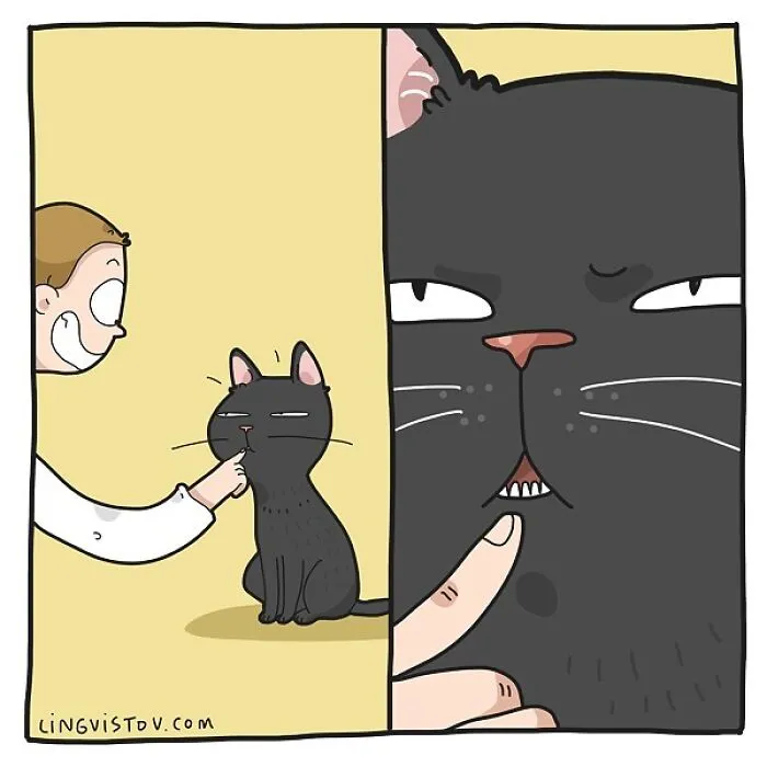 Esta artista ilustra los divertidos momentos de la vida de todo dueño de gatos (22 nuevas imágenes)
