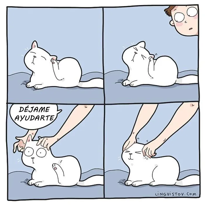 Esta artista ilustra los divertidos momentos de la vida de todo dueño de gatos (22 nuevas imágenes)