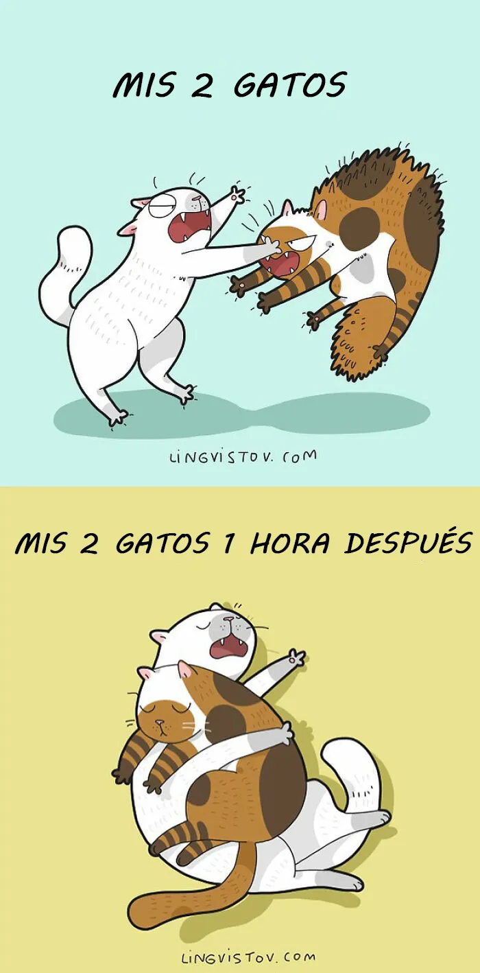Esta artista ilustra los divertidos momentos de la vida de todo dueño de gatos (22 nuevas imágenes)