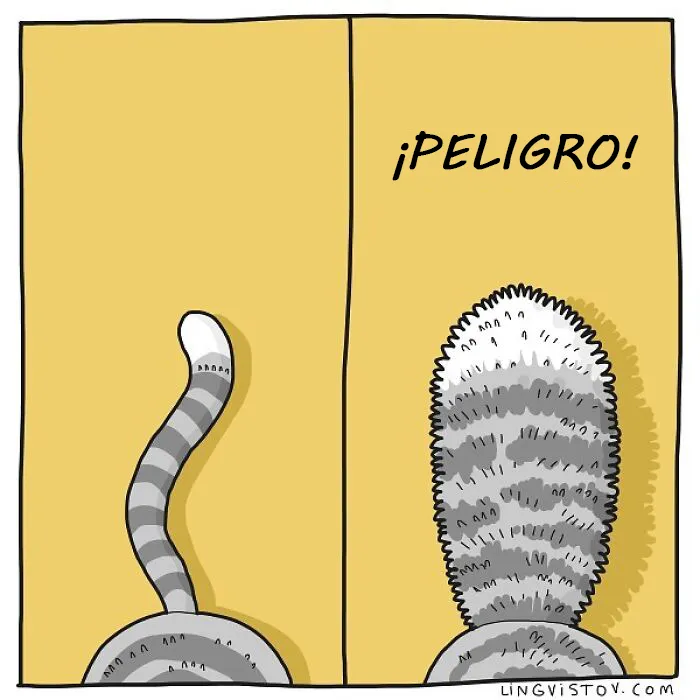 Esta artista ilustra los divertidos momentos de la vida de todo dueño de gatos (22 nuevas imágenes)