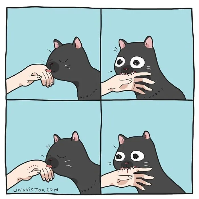 Esta artista ilustra los divertidos momentos de la vida de todo dueño de gatos (22 nuevas imágenes)