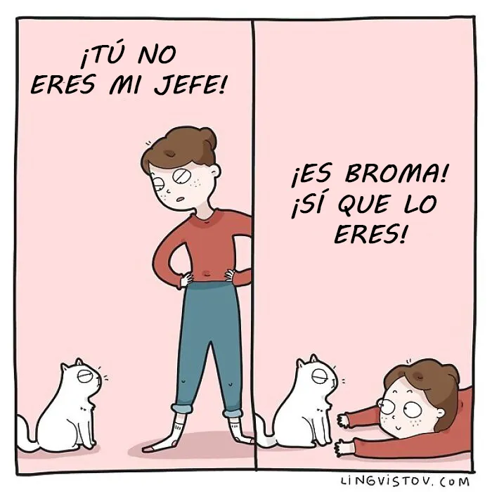 Esta artista ilustra los divertidos momentos de la vida de todo dueño de gatos (22 nuevas imágenes)