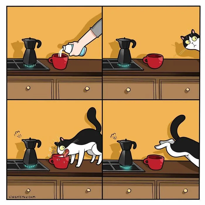 Esta artista ilustra los divertidos momentos de la vida de todo dueño de gatos (22 nuevas imágenes)