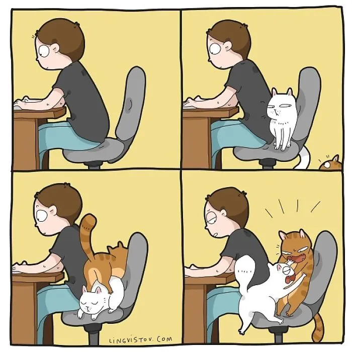 Esta artista ilustra los divertidos momentos de la vida de todo dueño de gatos (22 nuevas imágenes)