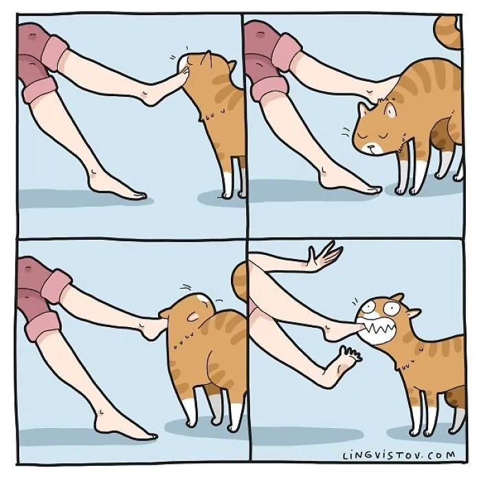 Esta artista ilustra los divertidos momentos de la vida de todo dueño de gatos (22 nuevas imágenes)
